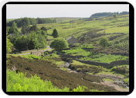 nowoczesna rezydencja nowoczesna rezydencja