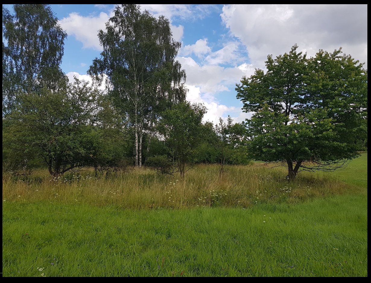 działka budowlana na sprzedaż Kochanów działka budowlana na sprzedaż Kochanów