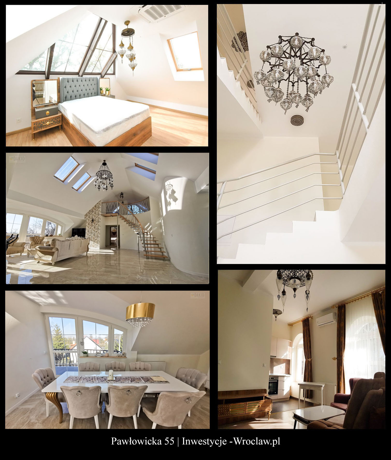 pawlowicka55 pawłowicka55