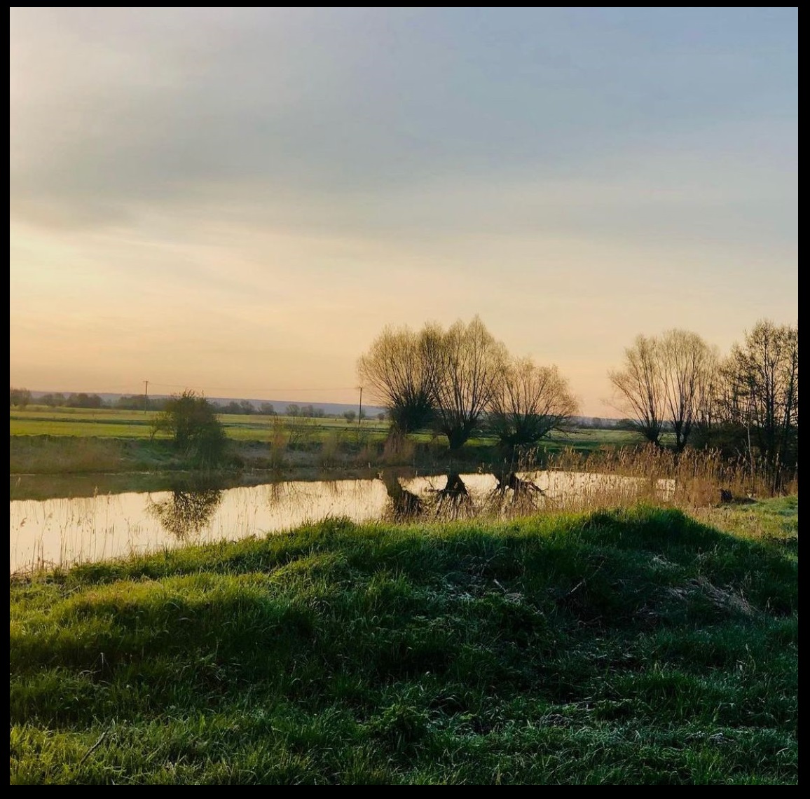 dom na sprzedaż nad morzem dom na sprzedaż nad morzem