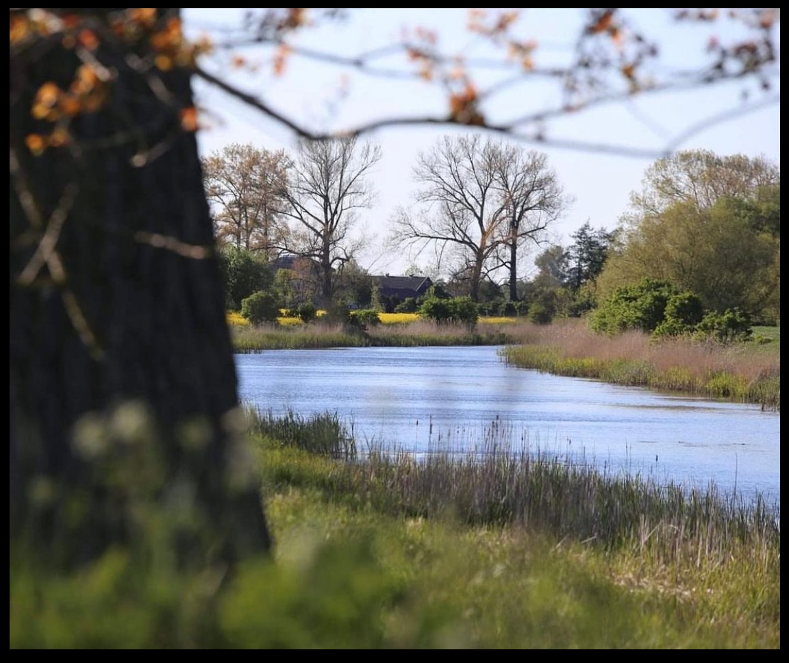 dom na sprzedaż nad morzem dom na sprzedaż nad morzem
